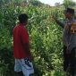 Oplus_131072